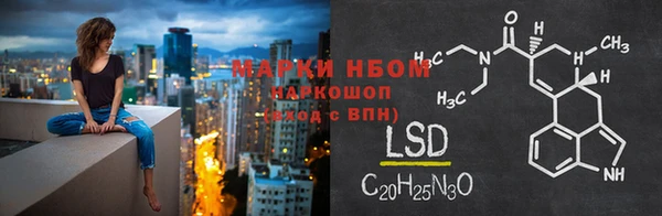 дживик Верхний Тагил
