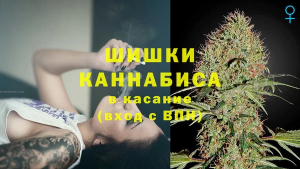 дживик Верхний Тагил