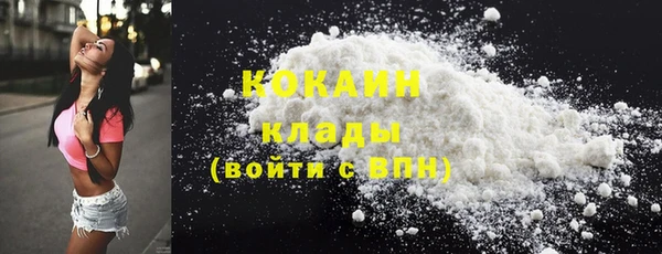 дживик Верхний Тагил